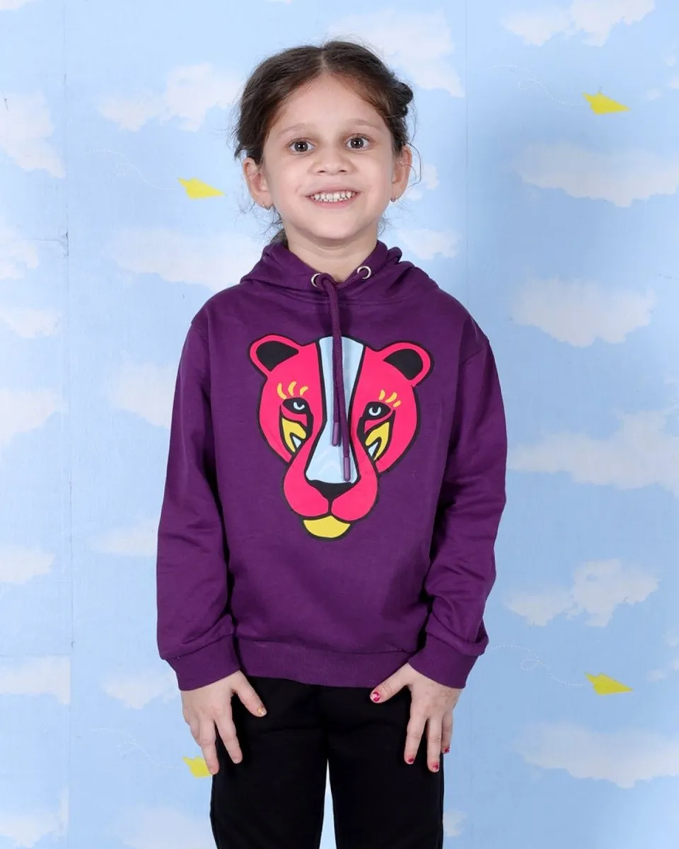 Combo of 2 Kids Hooded Sweatshirts